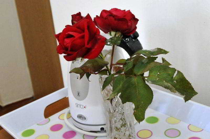 Guest house Katarina 3*